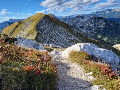 A mountain ridge with reddish grass under a blue sky