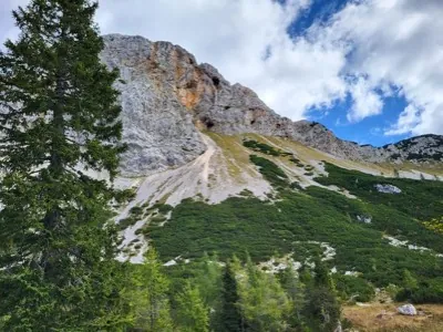 Rocky mountain slopes above a forest